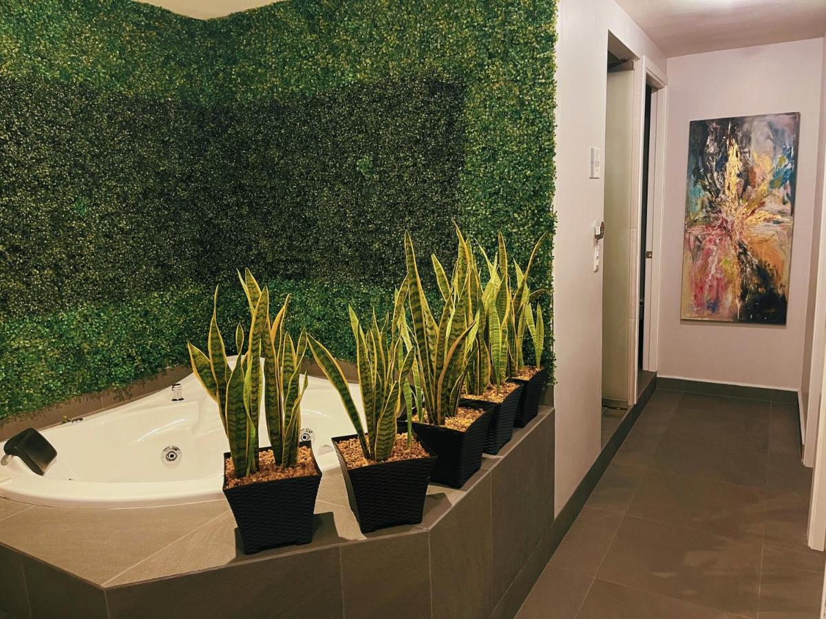Suites Layfer, Cordoba, Veracruz, Mexico المظهر الخارجي الصورة